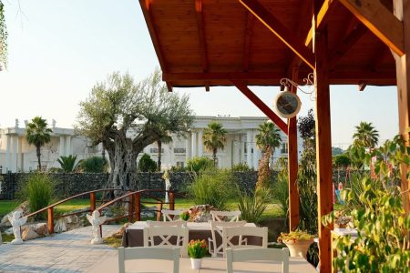 WhatsApp Image 2025-12-11 at 16.15.45